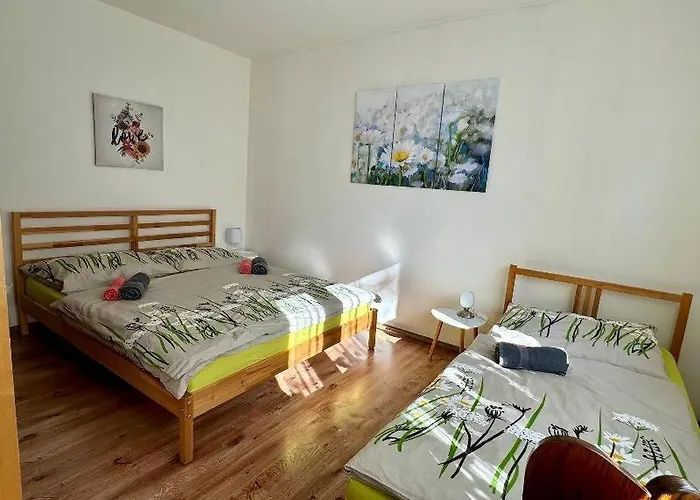 Kopretina Διαμέρισμα *